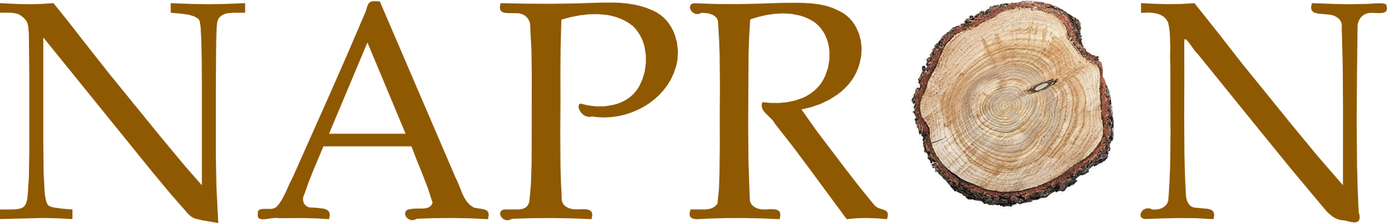Napron_logo